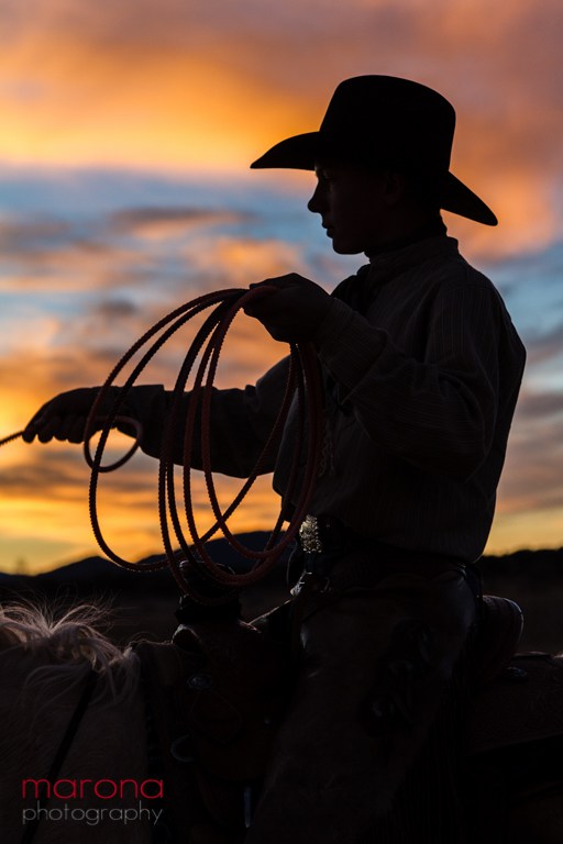 silhouette cowboy with rope in his hands sitting on horse, silhouette photography, cowboy photography, 