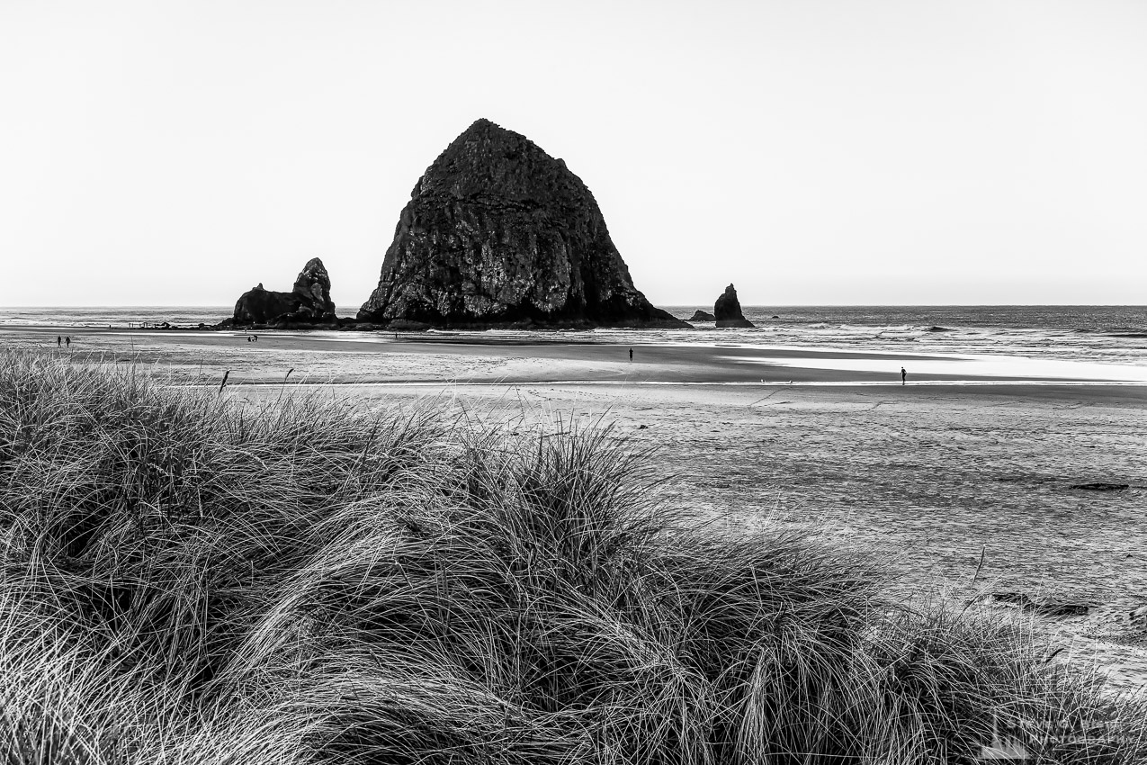 A black and white photograph of Haystack Rock and the Pacific Ocean on an Autumn morning at Cannon Beach, Oregon. Steve Bisig, Fisheye Connect, Photography courses, photography workshops