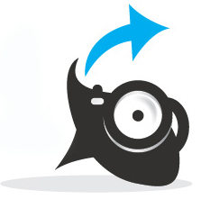 Fisheye Connect Logo
